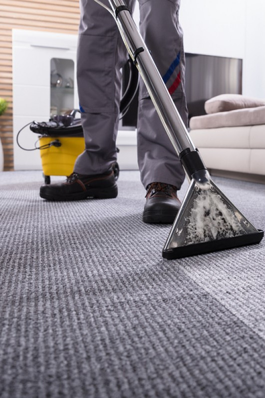 professional carpet cleaning rochester mn